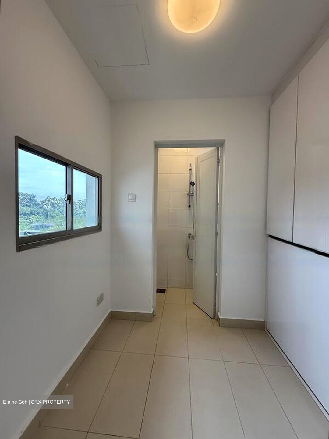 Nassim Regency (D10), Condominium #442694331